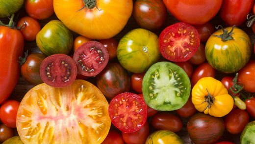 Самые вкусные сорта томатов