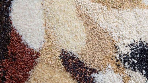 5 популярных сортов риса
